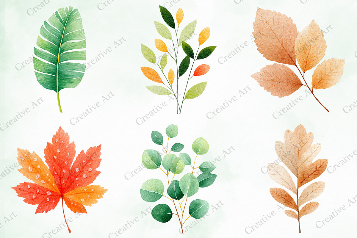 Watercolor Leaves Clipart Set, an Illustration by Creative Art (Photo 8 of 10)
