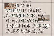 Frosty Garden - Elegant Retro Serif, a Serif Font by SilverStag Type Foundry (Thumbnail 10 of 19)