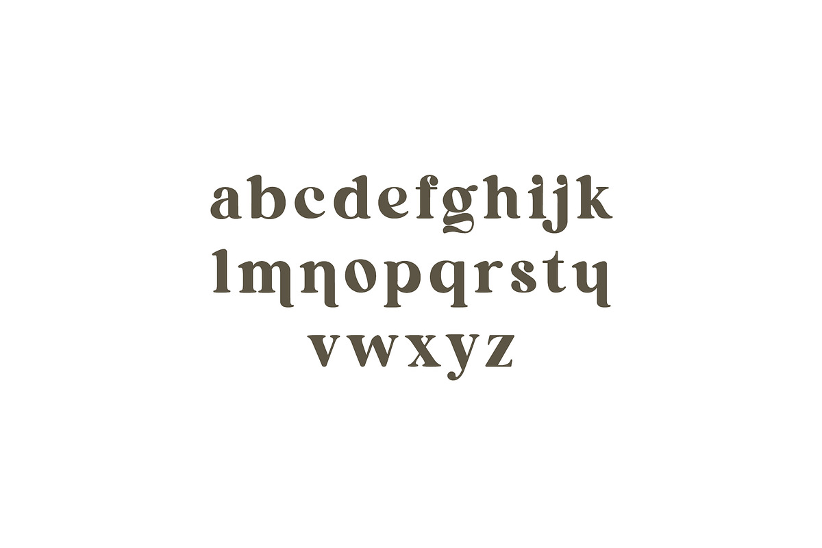 Pollinator Display Serif Font, a Serif Font by UICreative (Photo 12 of 12)