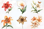 Lily Flower Watercolor Cliparts, an Illustration by RobertsArt (Thumbnail 6 of 7)