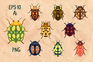 Boho Insects. Elements&patterns