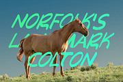 Boxton Girl - Handcrafted Display, a Handwritten Font by Webhance Studio (Thumbnail 5 of 9)