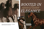 Dark Equestrian | 200 stock images, an Animal Photo by Tale.Haus (Thumbnail 12 of 13)