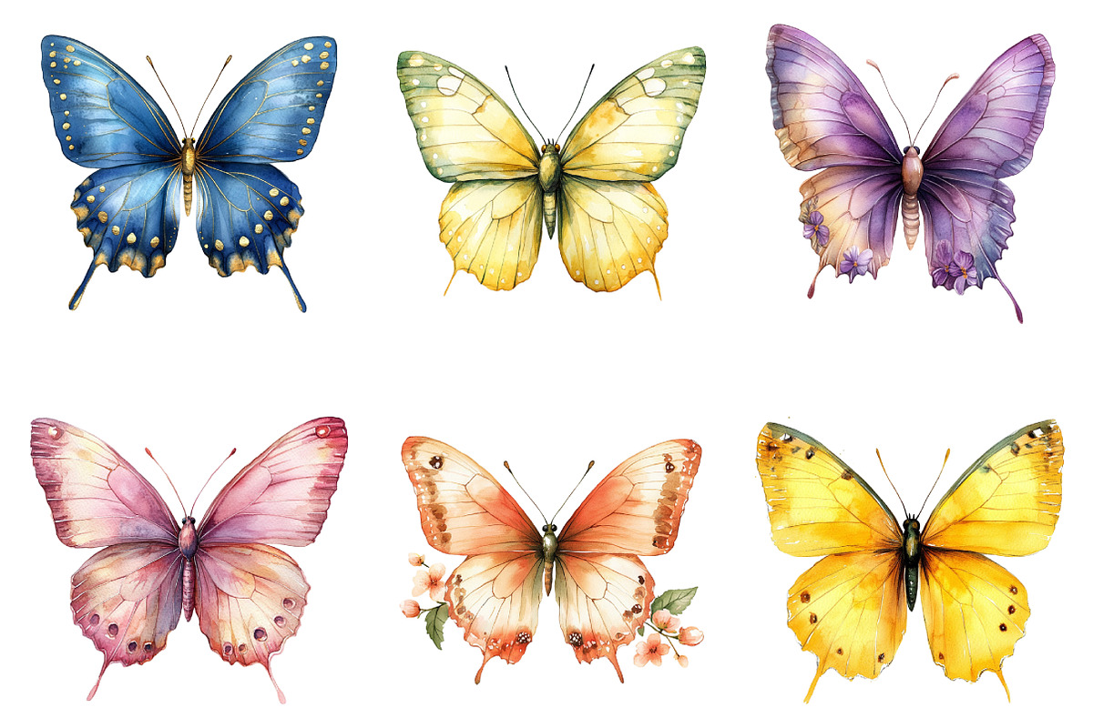 Watercolor Cute Butterfly Clipart, an Illustration by SinaCreation (Photo 3 of 5)