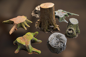 7 TREE STUMPS