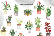 House Plants Alphabet and Clipart, a Decorative Illustration by Visual Animal (Thumbnail 4 of 6)
