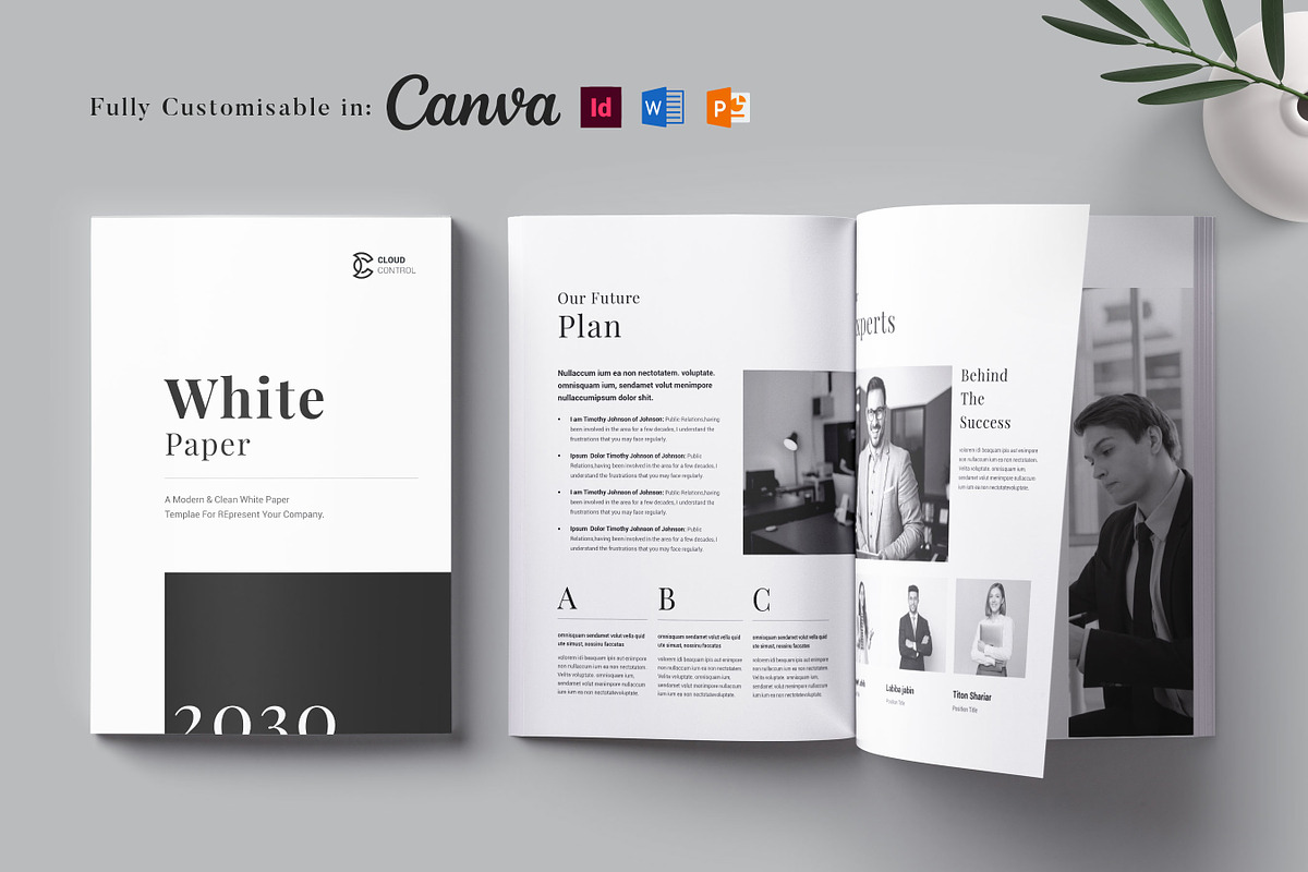 WhitePaper Template | Canva, Word, a Brochure Template by DesVert (Photo 1 of 10)