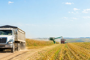 Farming vehicles harvesting corn in, a Photo by Dvoevnore photos