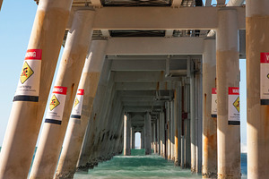 The Spit Beach at the Gold Coast, a Nature Photo by Rob D Animal Photography