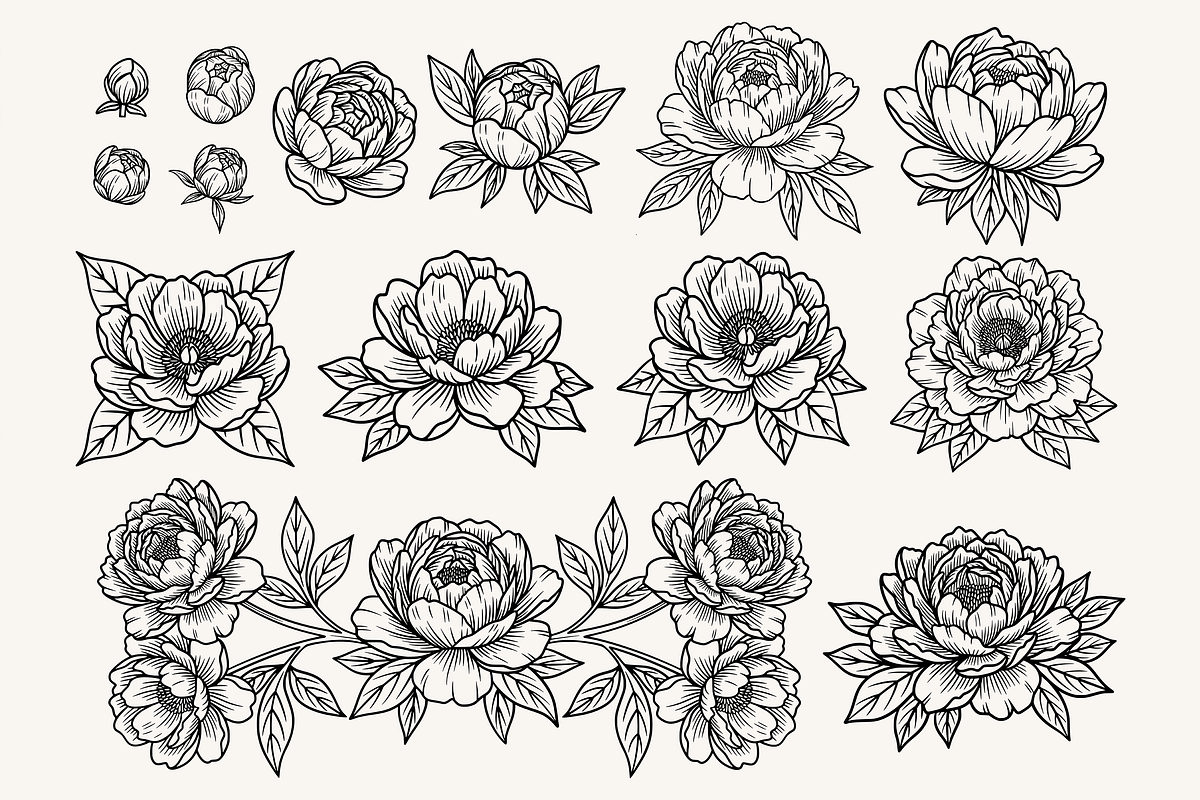 Peony Flower Line Art Illustration, a Decorative Illustration by Kusumaillustration (Photo 3 of 15)