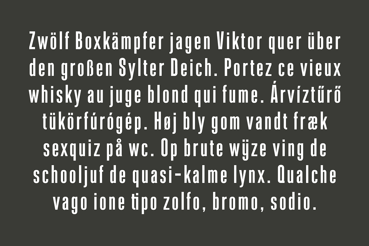 Linton Gothic Extra Condensed, a Font by TypeFaith Fonts (Photo 15 of 16)