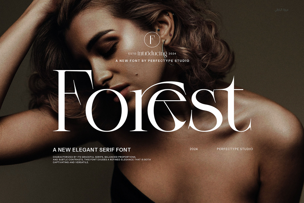 Forest Elegant Serif Font, a Serif Font by Perfectype (Photo 1 of 8)
