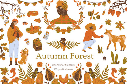 Autumn Forest