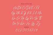 Brush Sinergi - Brush Script Font, a Script Font by Nirmana Visual (Thumbnail 2 of 10)