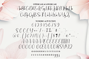 Magnolia | Script Font, a Handwritten Font by Scratchones (Thumbnail 7 of 9)