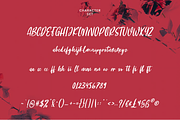 Girlfinest Script Font, a Script Font by MACK 75 (Thumbnail 5 of 10)