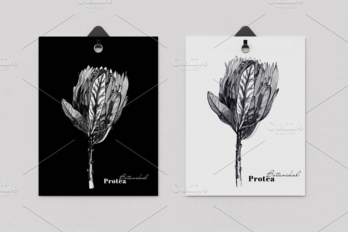 Botanical cards collection, a Decorative Illustration by Art AleshkaK (Photo 2 of 8)