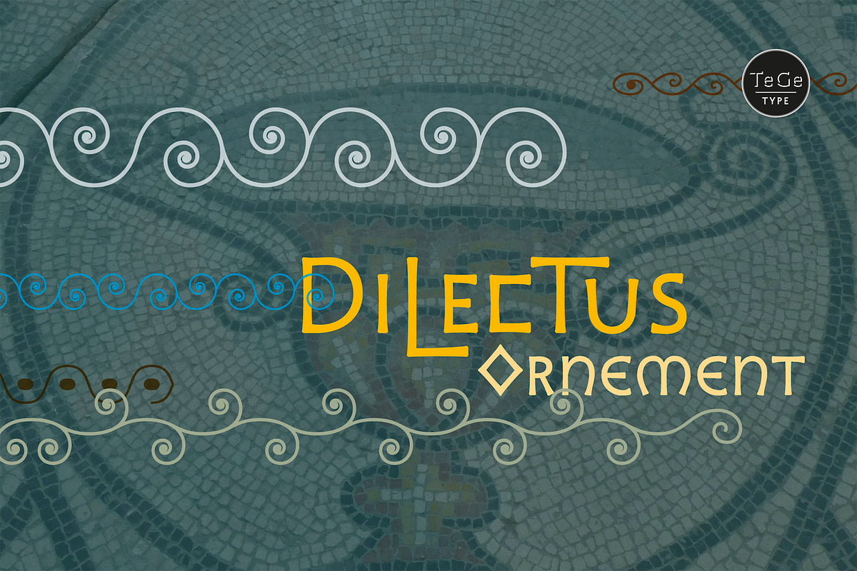Dilectus, a Script Font by TeGeType foundry (Photo 2 of 8)