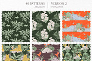 Into the Wild Collection, an Animal Illustration by GVGraphics (Thumbnail 14 of 24)