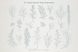 Eucalyptus Leaves Line Art Clipart