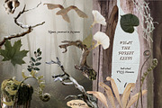 The Veil – Mystical Collage Kit, an Object Graphic by Eva Gentle (Thumbnail 5 of 13)