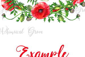 Scarlet Poppy Set 18 Clipart