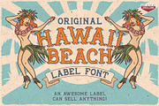 16 Font Families Bundle, a Font by VozzyStock (Thumbnail 10 of 17)