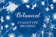Flower Photoshop brushes, a Brush Add-On by Little Bean (Thumbnail 1 of 8)