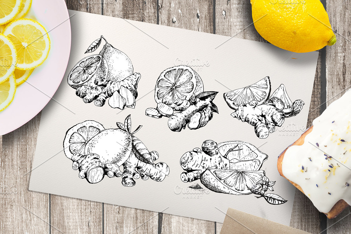 Ginger & lemon. Ink engraving set, a Food Illustration by Alena Kaz (Photo 3 of 7)