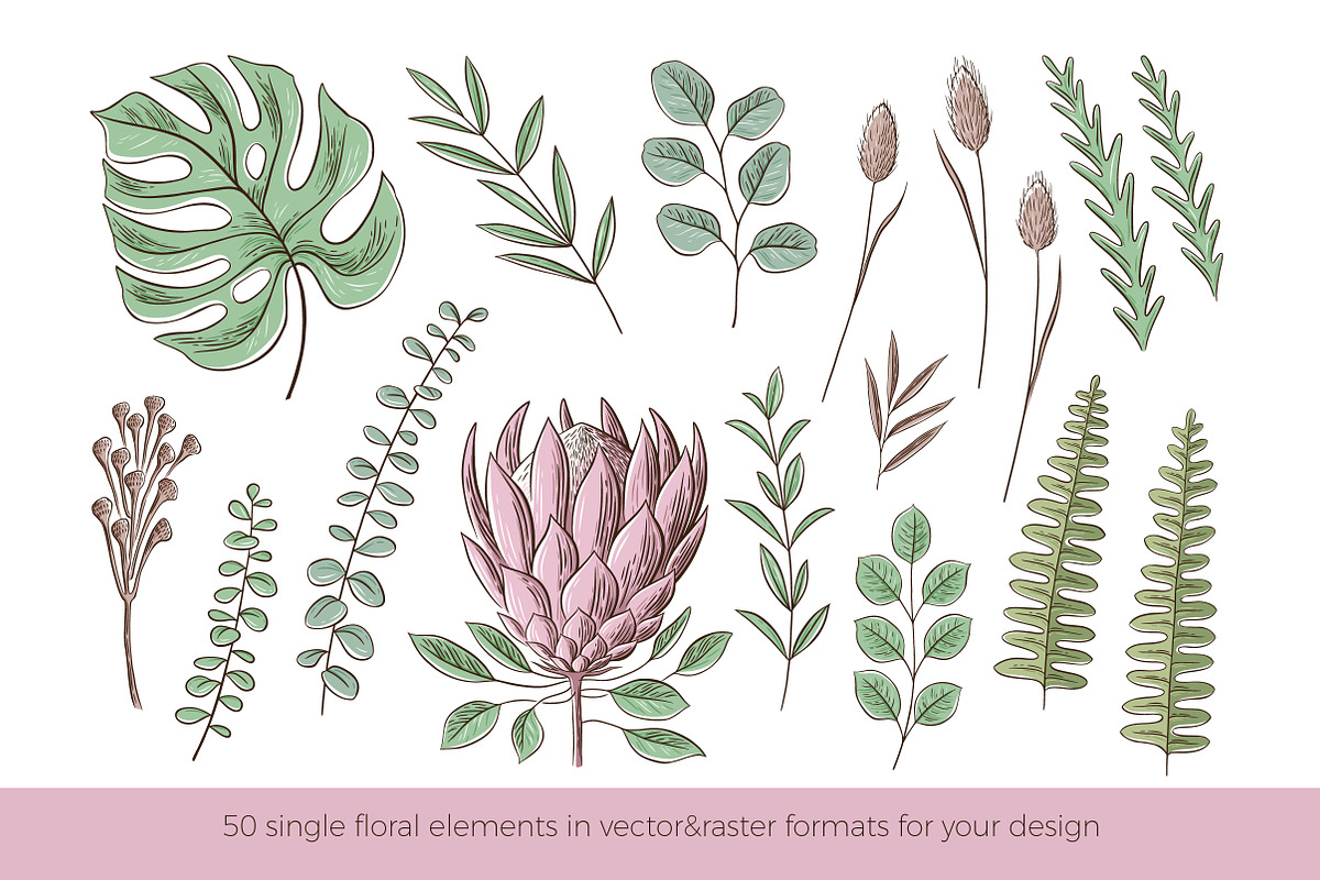 Tropical floral set | 105 elements!, an Object Illustration by bariskina (Photo 3 of 14)