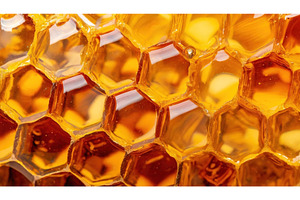 Macro shot of golden honeycomb, a Food & Drink Photo by Igor Tichonow
