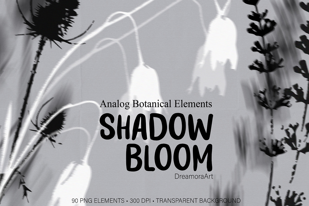 Shadow Bloom Analog Botanical PNG, an Object Graphic by DreamoraArt (Photo 10 of 10)