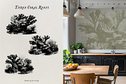 Aquatic Natural History Collection, an Object Graphic by Blixa 6 Studios (Thumbnail 21 of 24)