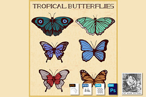 Tropical Butterflies In Golden Frame