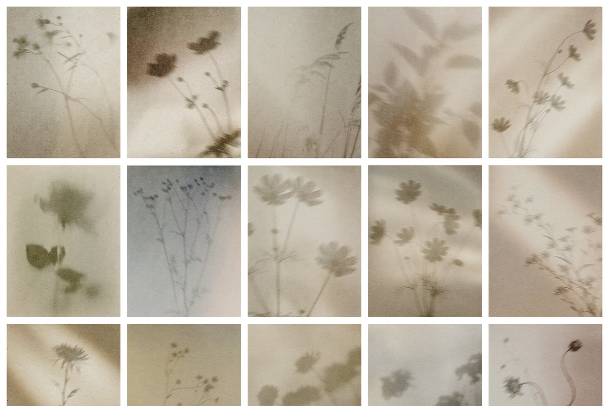 Diaphane - Blurry Floral Backgrounds, a Background Graphic by alonahaidash (Photo 11 of 16)