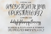 American Handmade, a Handwritten Font by FreshTypeINK (Thumbnail 7 of 8)