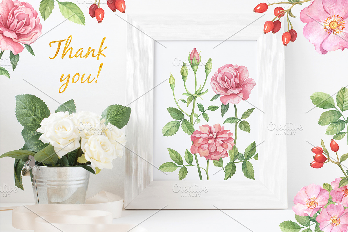 Wild Roses Watercolor Set, a Decorative Illustration by Irina Diasli (Photo 9 of 9)