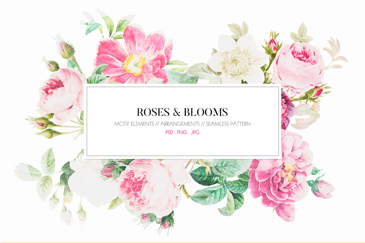 Roses & Blooms, a Pattern Graphic by TSTUDIO (Photo 1 of 9)