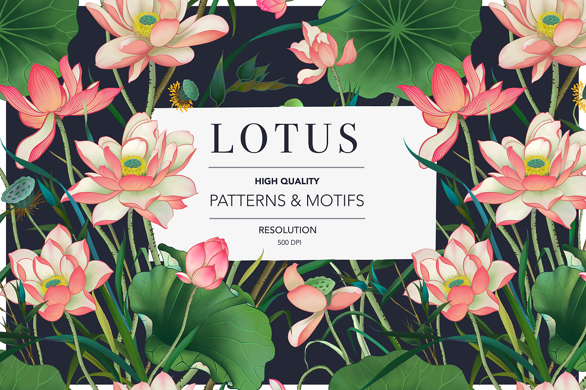 Lotus patterns and illustrations, a Pattern Graphic by Annet lovart