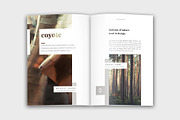 Colora - Bold, Clean Portfolio, a Brochure Template by velvetmade.designs (Thumbnail 5 of 17)