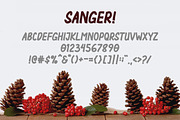 Sanger, a Font by Kang1993 (Thumbnail 4 of 5)
