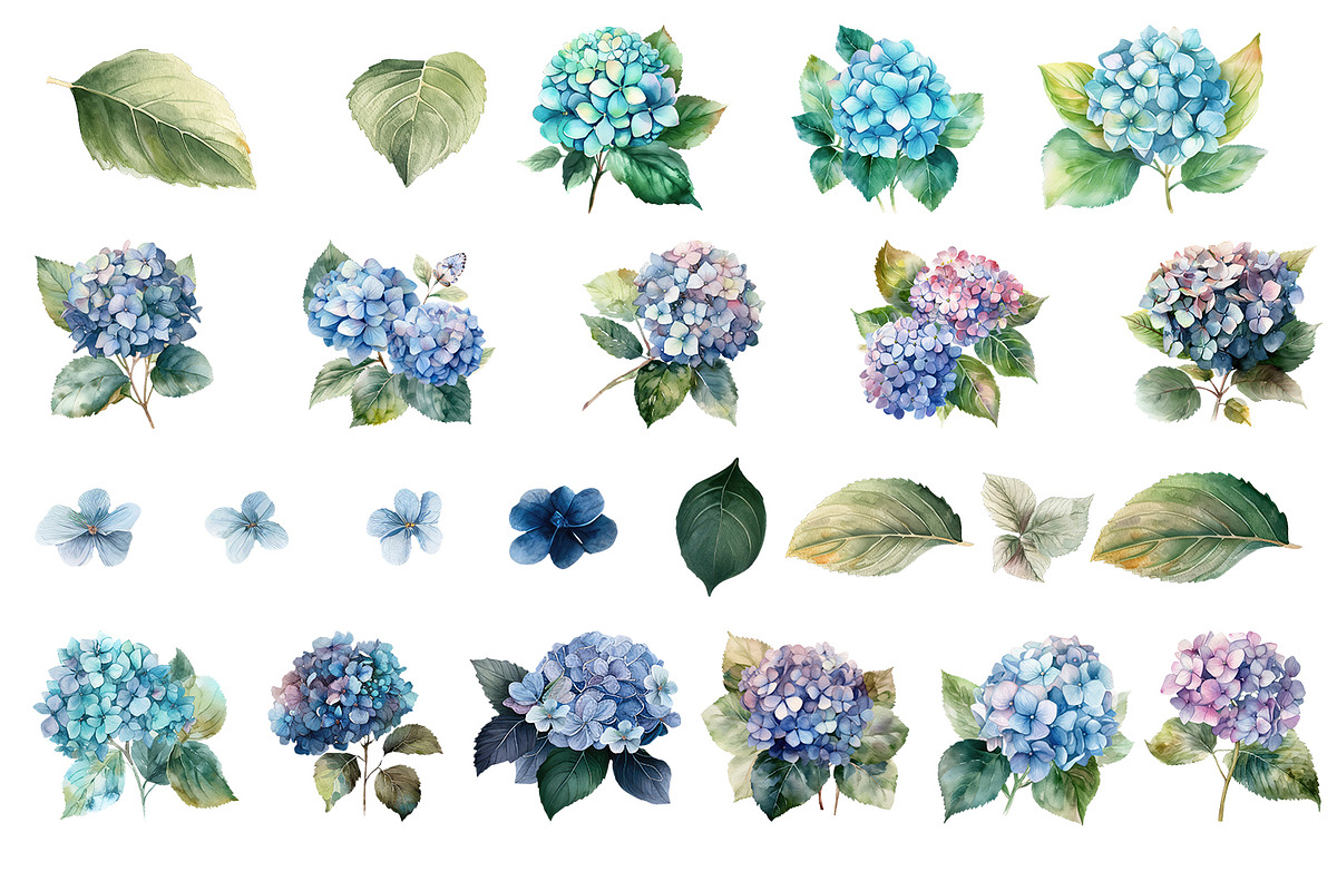 Blue flower. Watercolor clipart, a Decorative Illustration by ElenazlataArt (Photo 3 of 16)