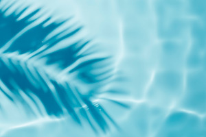 Pool water and coconut palm shadow, a Holiday Photo by hitdelight