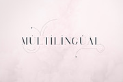 RoseGold Serif font + 10 Logos, a Serif Font by VP Fonts (Thumbnail 5 of 20)