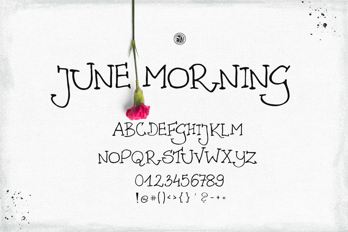 June Morning preview 5