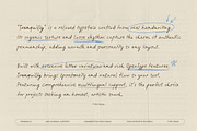 Tranquilly | Handwritten Font, a Handwritten Font by type peace (Thumbnail 2 of 19)
