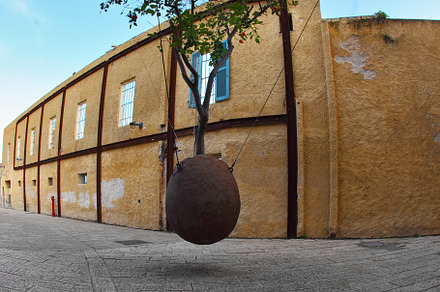 The flowerpot suspended on cables with an orange tree, a Nature Photo by kavram