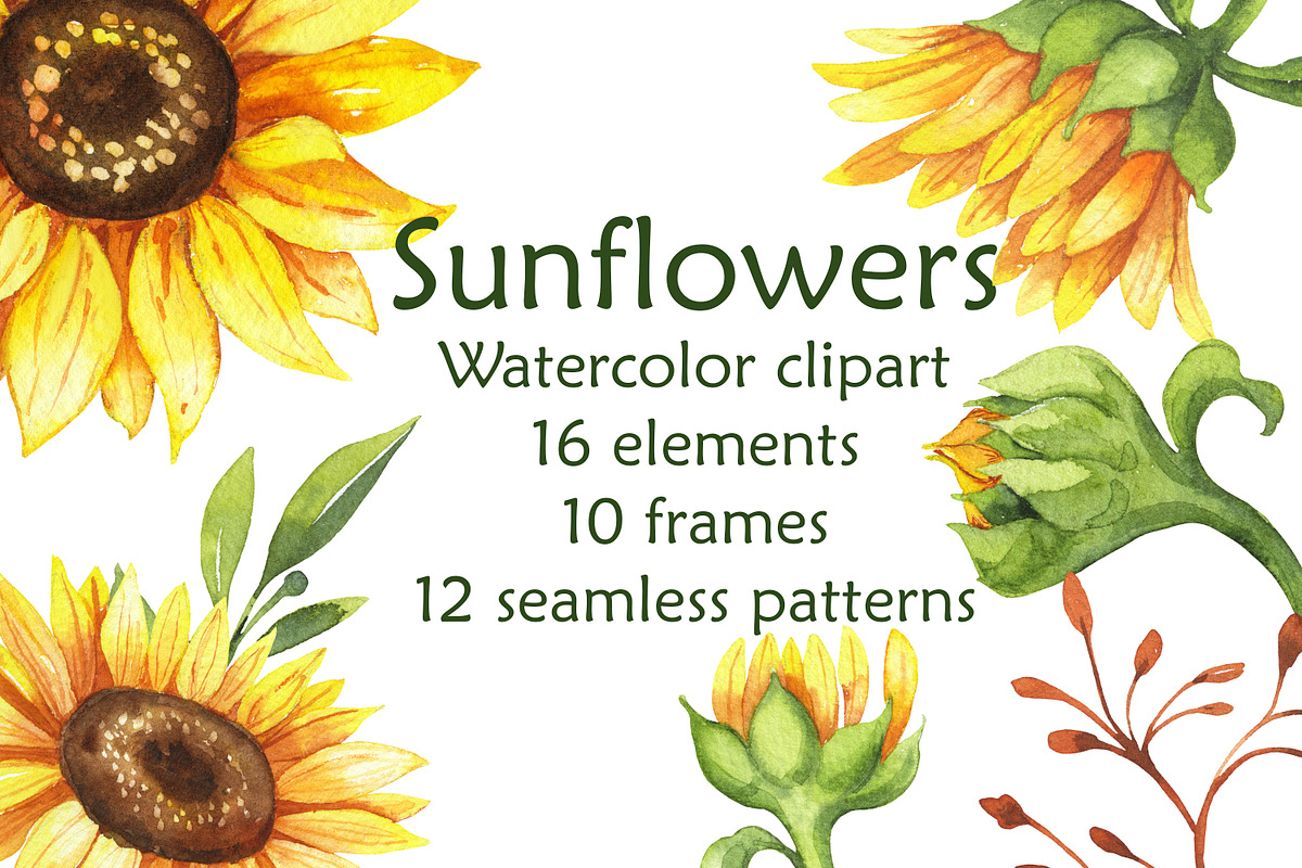 Sunflowers, set of watercolor, a Decorative Illustration by EshaStudio (Photo 2 of 9)