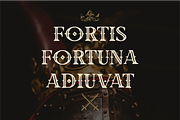Old Castle - Vintage Classic Serif, a Blackletter Font by Pandeka Studio (Thumbnail 7 of 9)