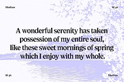 Shelian, a Serif Font by Seniors (Thumbnail 14 of 15)